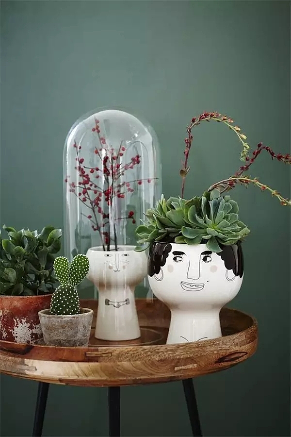 ceramics，Flowerpot，container，Home Furnishing，